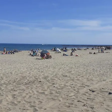 Studio Cabine Parking Cap D'agde 아파트 *